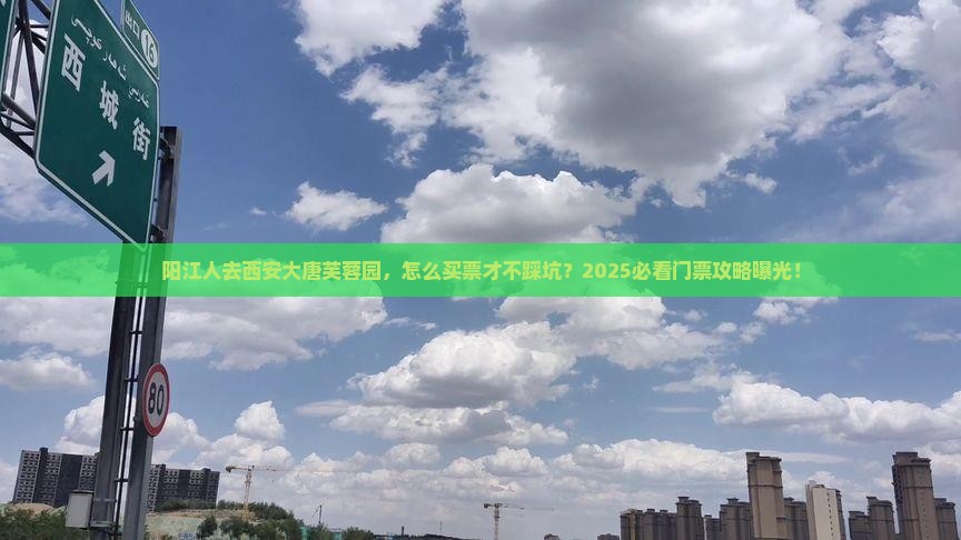 阳江去西安大唐芙蓉园门票