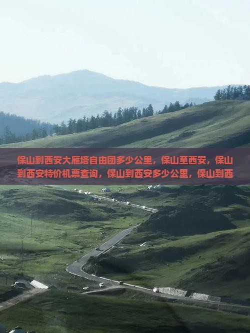 保山到西安大雁塔自由团