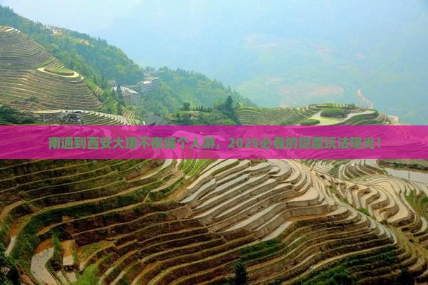 南通到西安大唐不夜城个人游