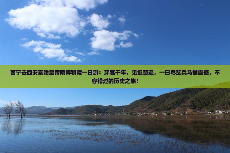 西宁去西安秦始皇帝陵博物院一日游