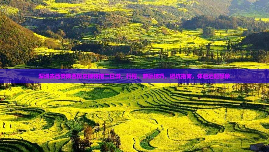 深圳去西安陕西历史博物馆二日游