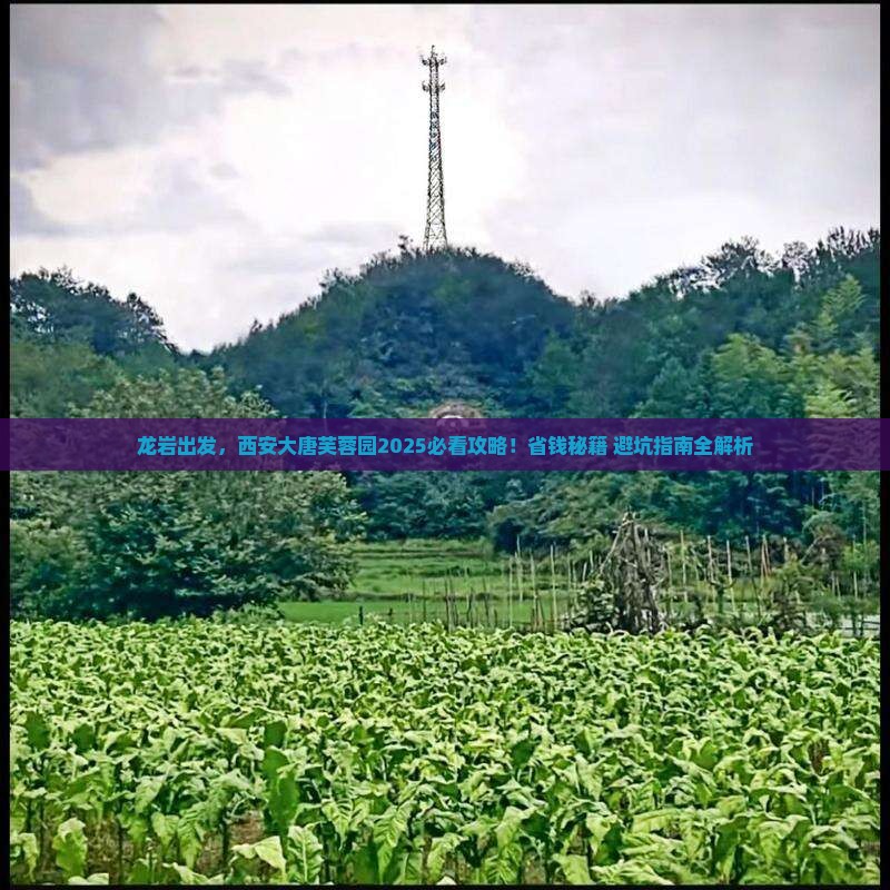 龙岩到西安大唐芙蓉园哪里玩