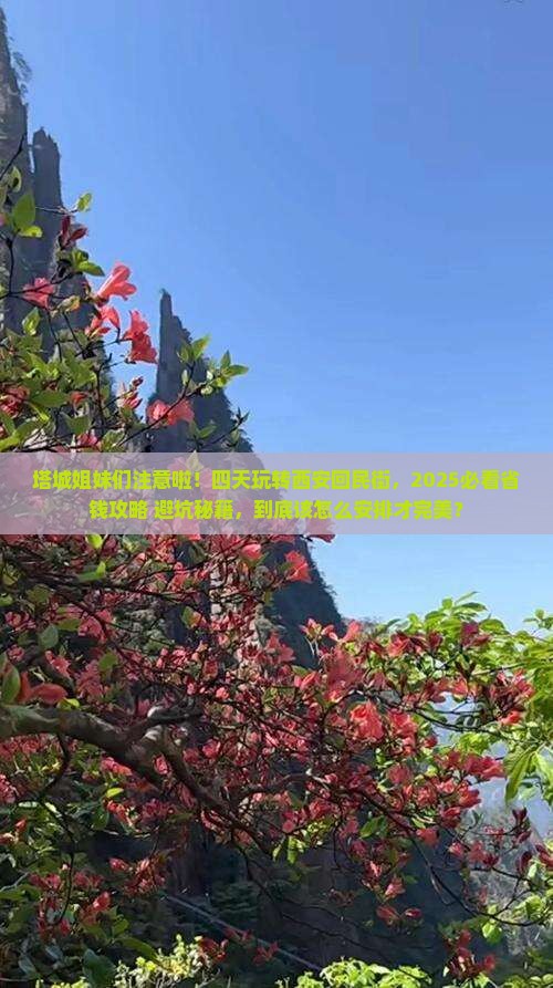 塔城到西安回民街四日游