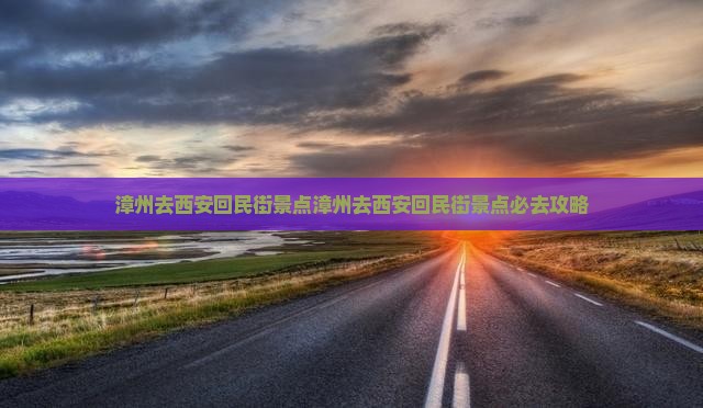 漳州去西安回民街景点