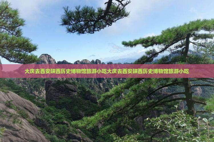 大庆去西安陕西历史博物馆旅游小吃