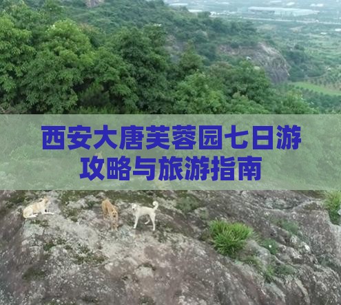 思茅到西安大唐芙蓉园七日游