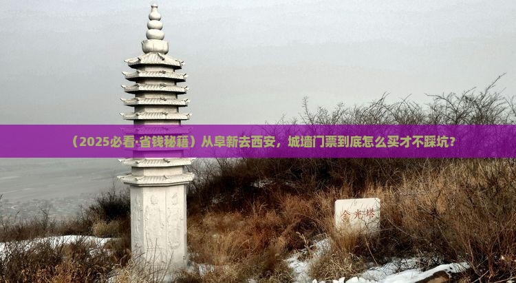 阜新去西安城墙门票