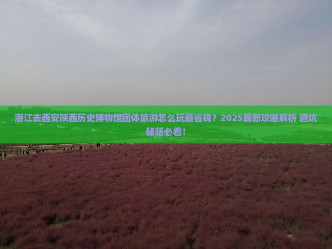 潜江去西安陕西历史博物馆团体旅游