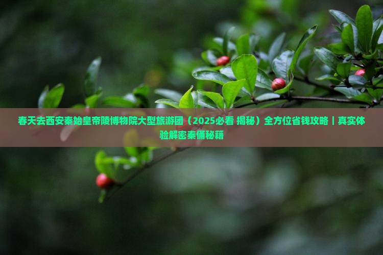 春天去西安秦始皇帝陵博物院大型旅游团 春天去西安秦始皇帝陵博物院大型旅游团