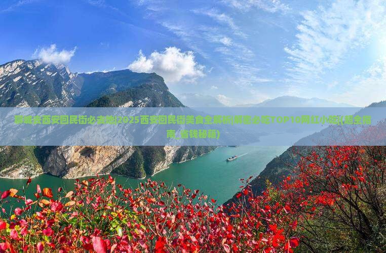 聊城去西安回民街必去地