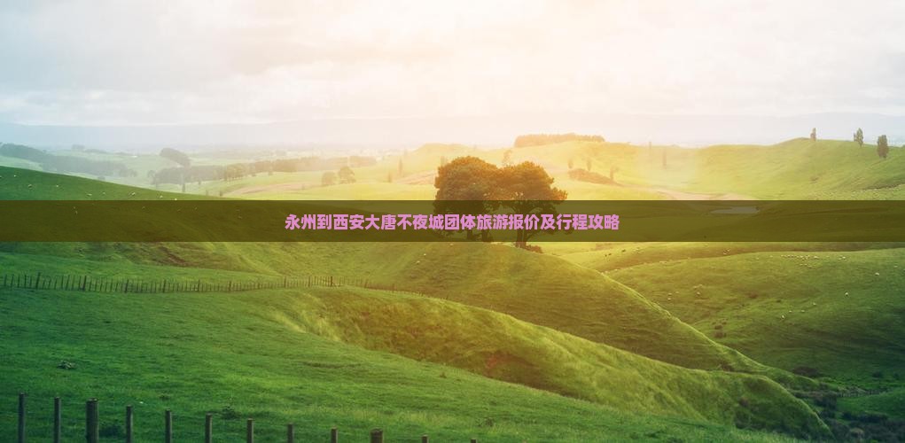 永州到西安大唐不夜城团体旅游