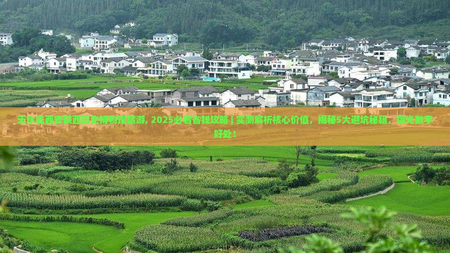 天水去西安陕西历史博物馆旅游