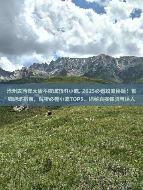 沧州去西安大唐不夜城旅游小吃