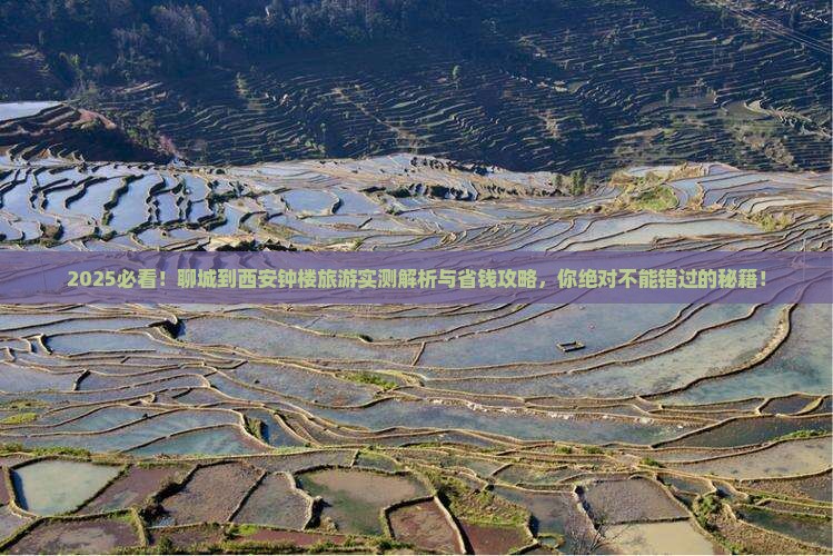 聊城到西安钟楼旅游