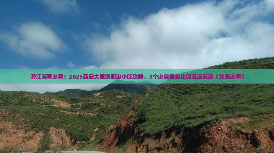 潜江到西安大雁塔旅游小吃