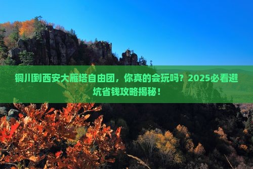 铜川到西安大雁塔自由团