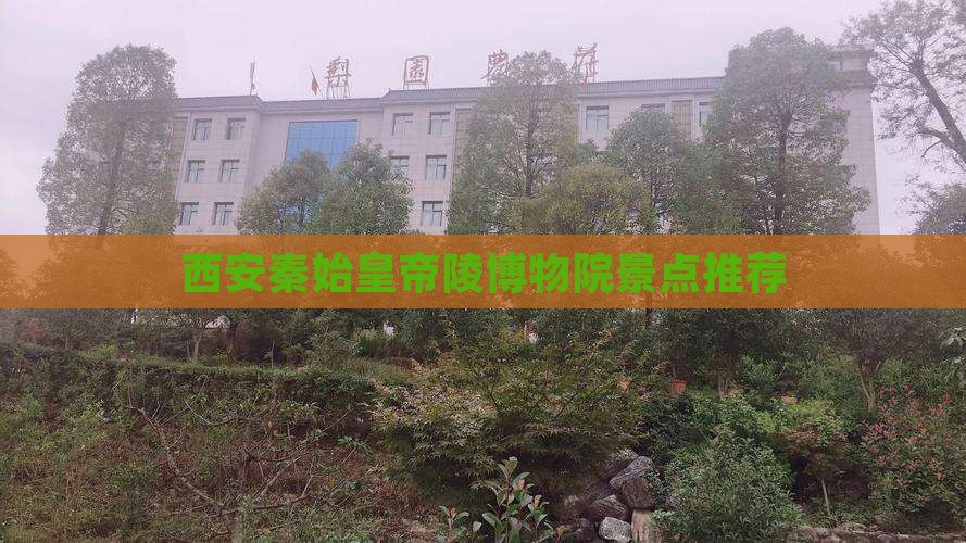 嘉兴到西安秦始皇帝陵博物院景点