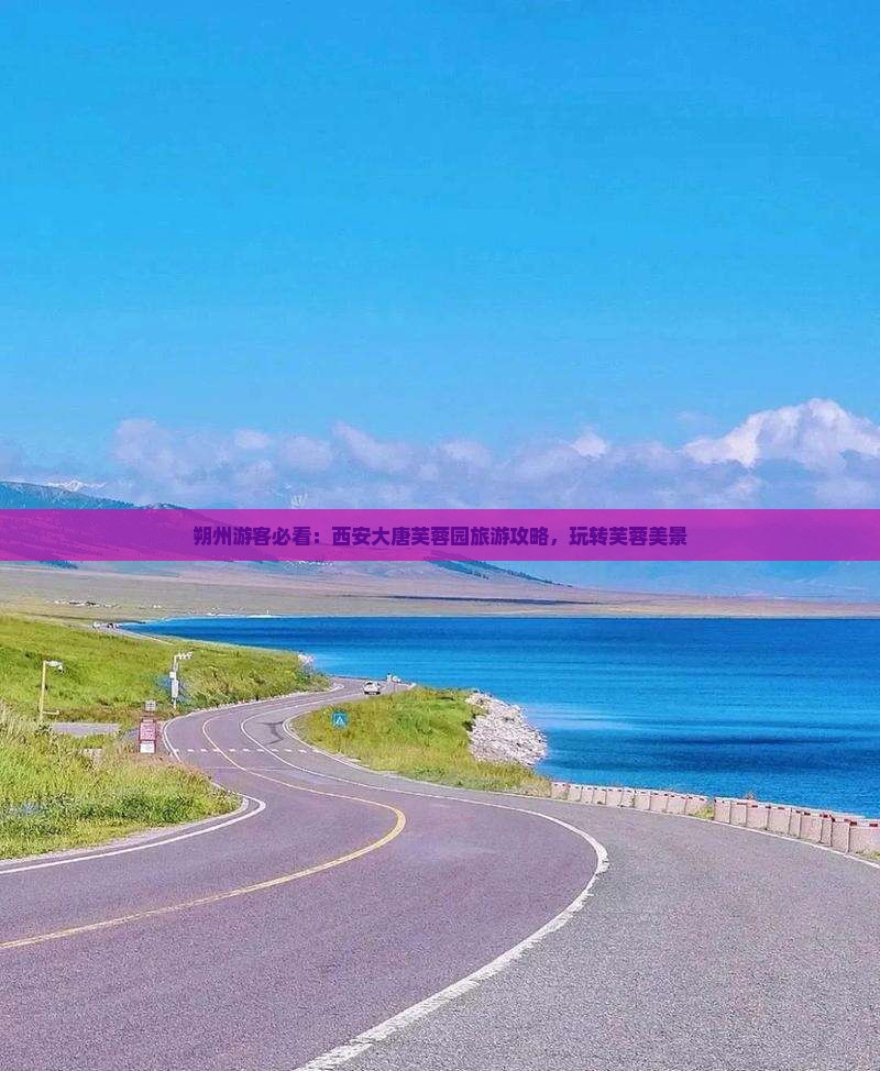 朔州去西安大唐芙蓉园旅游
