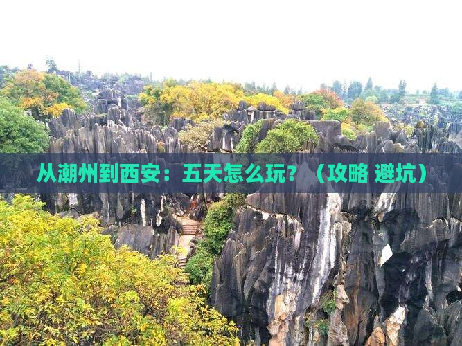 潮州去西安陕西历史博物馆五日游