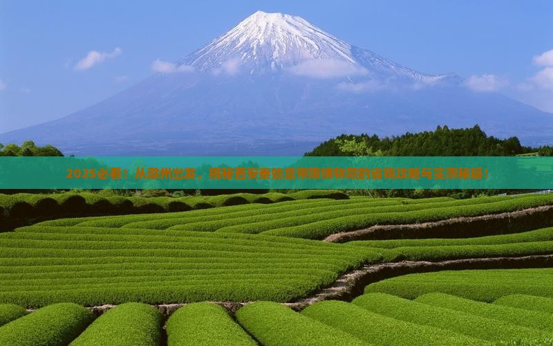 滁州到西安秦始皇帝陵博物院景点