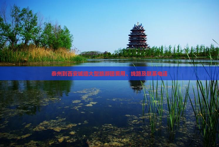 泰州到西安城墙大型旅游团