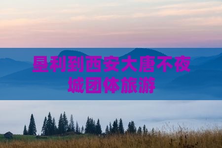 垦利到西安大唐不夜城团体旅游