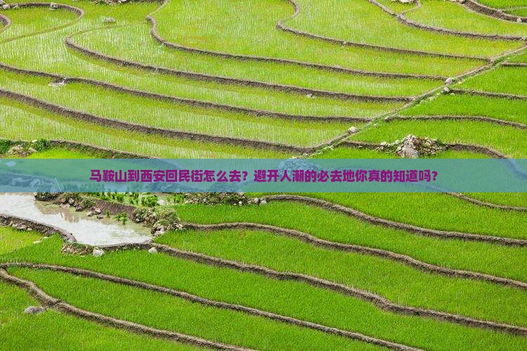 马鞍山到西安回民街必去地