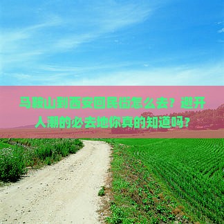 马鞍山到西安回民街必去地