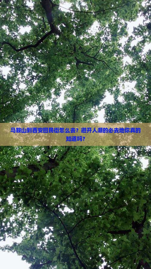 马鞍山到西安回民街必去地