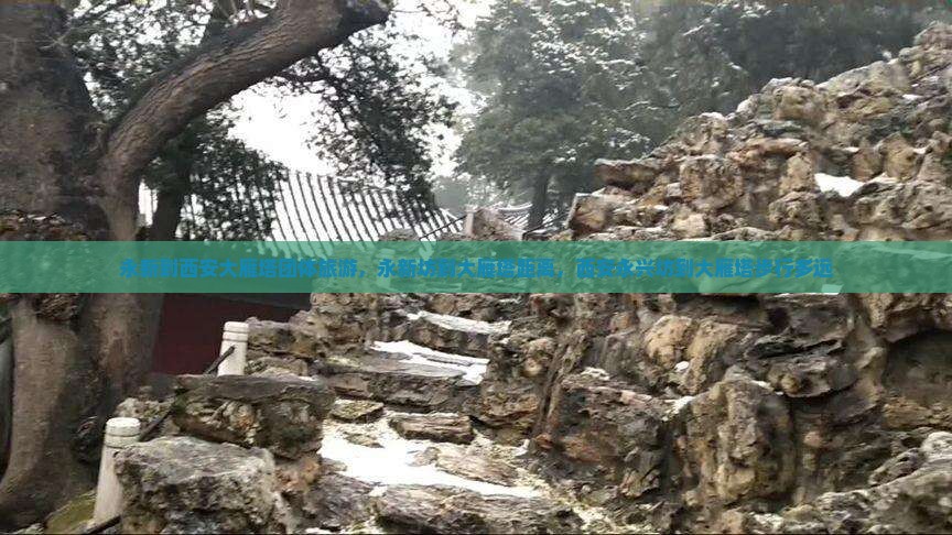 永新到西安大雁塔团体旅游