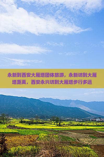 永新到西安大雁塔团体旅游