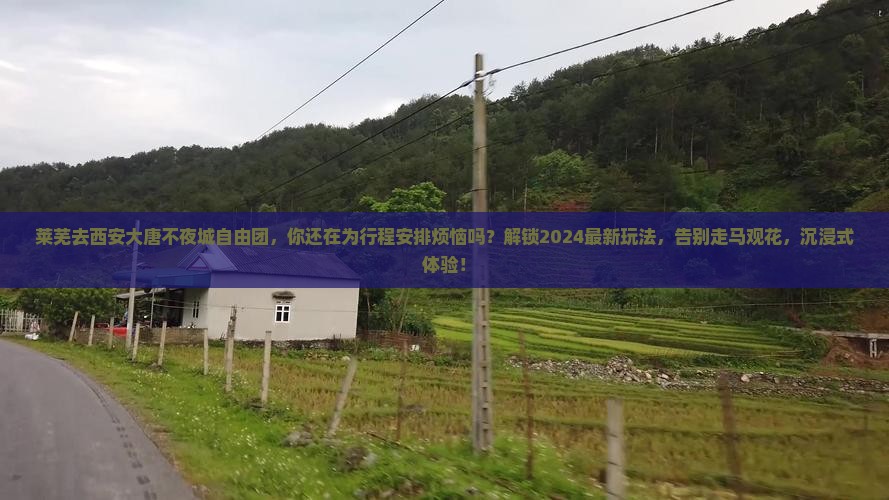 莱芜去西安大唐不夜城自由团