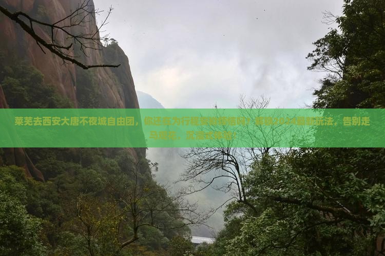 莱芜去西安大唐不夜城自由团