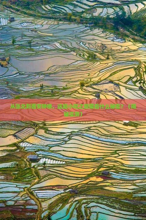 张北去西安钟楼旅游小吃 张北去西安钟楼旅游小吃