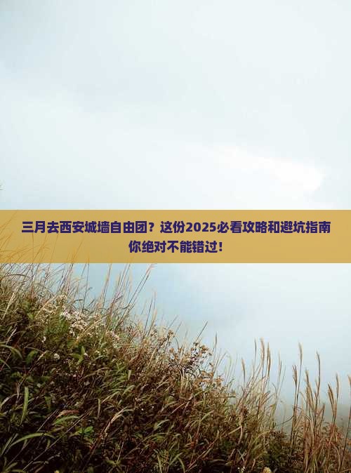 三月到西安城墙自由团