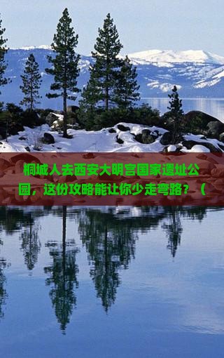 桐城去西安大明宫国家遗址公园团体旅游