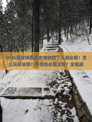 仙桃到西安陕西历史博物馆个人游