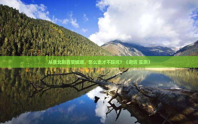 张北到西安城墙攻略