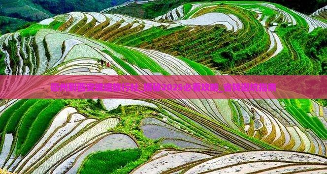 衢州到西安城墙旅行社