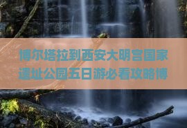 博尔塔拉到西安大明宫国家遗址公园五日游