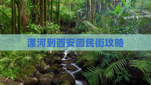 漯河到西安回民街必去地