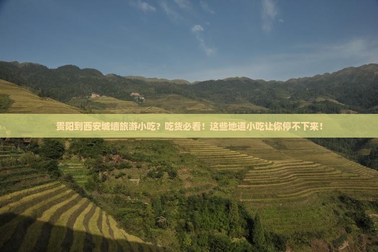 贵阳到西安城墙旅游小吃
