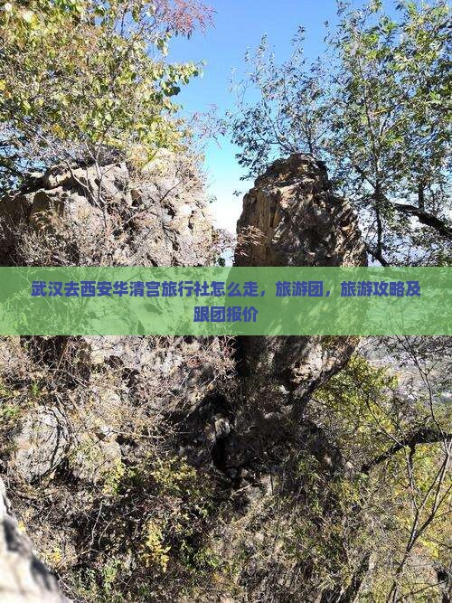 武汉去西安华清宫旅行社