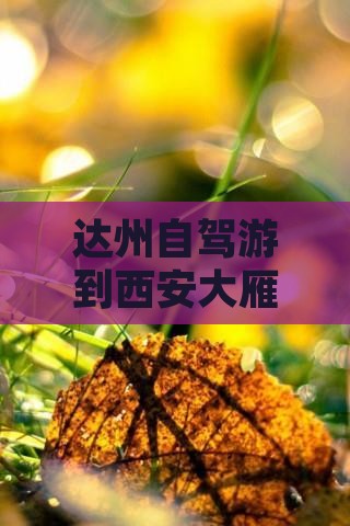 达州到西安大雁塔哪里玩