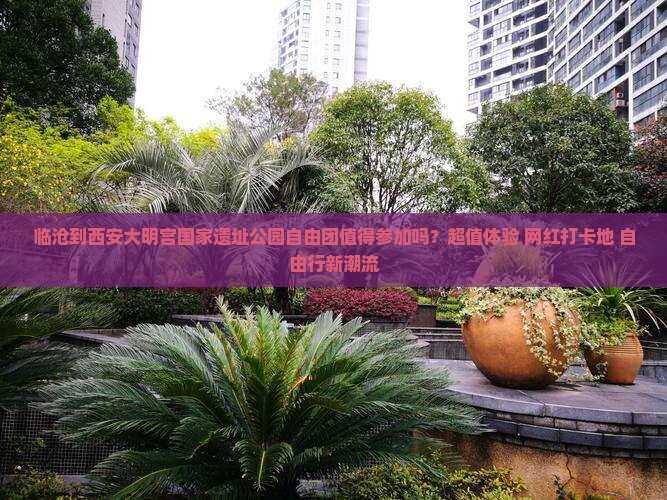 临沧到西安大明宫国家遗址公园自由团