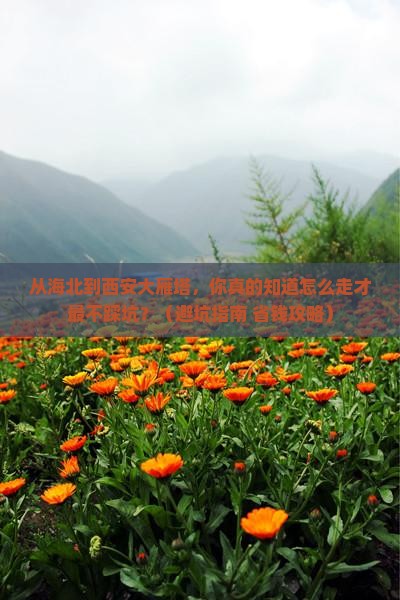 海北到西安大雁塔景点 海北到西安大雁塔景点