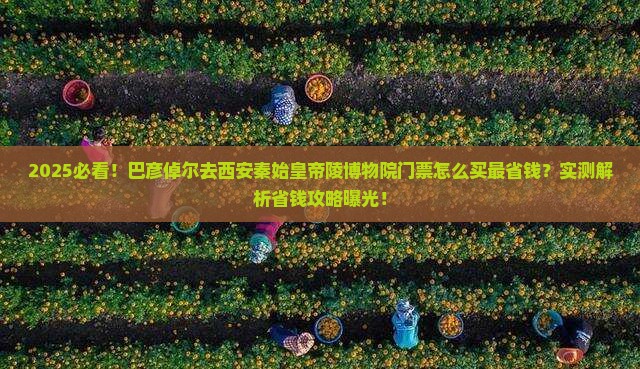 巴彦倬尔去西安秦始皇帝陵博物院门票