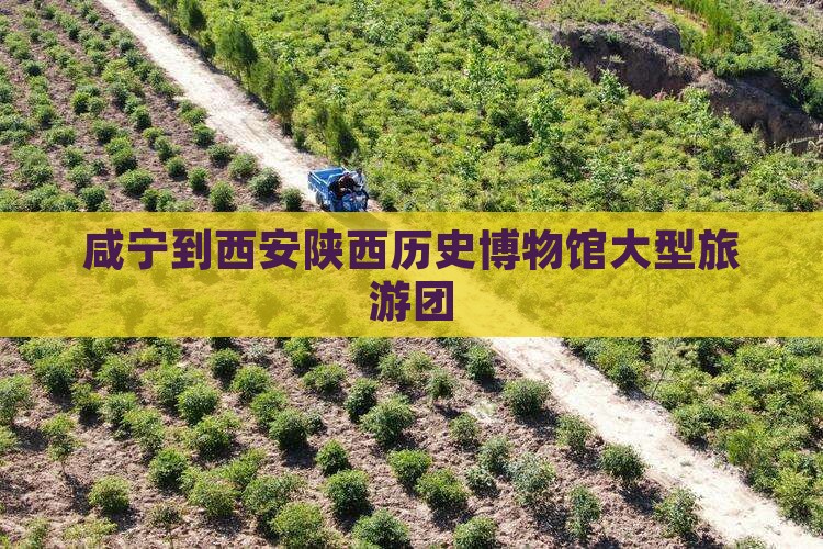 咸宁到西安陕西历史博物馆大型旅游团