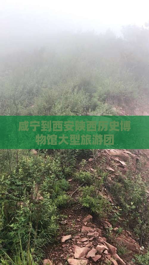 咸宁到西安陕西历史博物馆大型旅游团