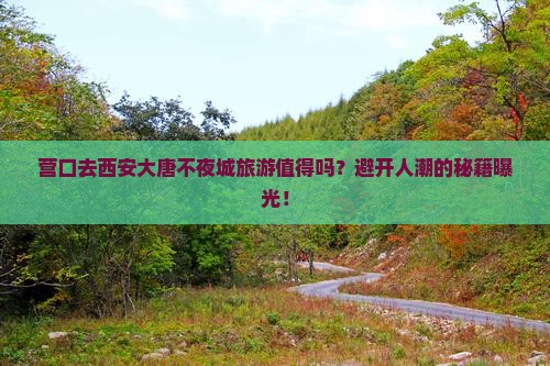 营口去西安大唐不夜城旅游